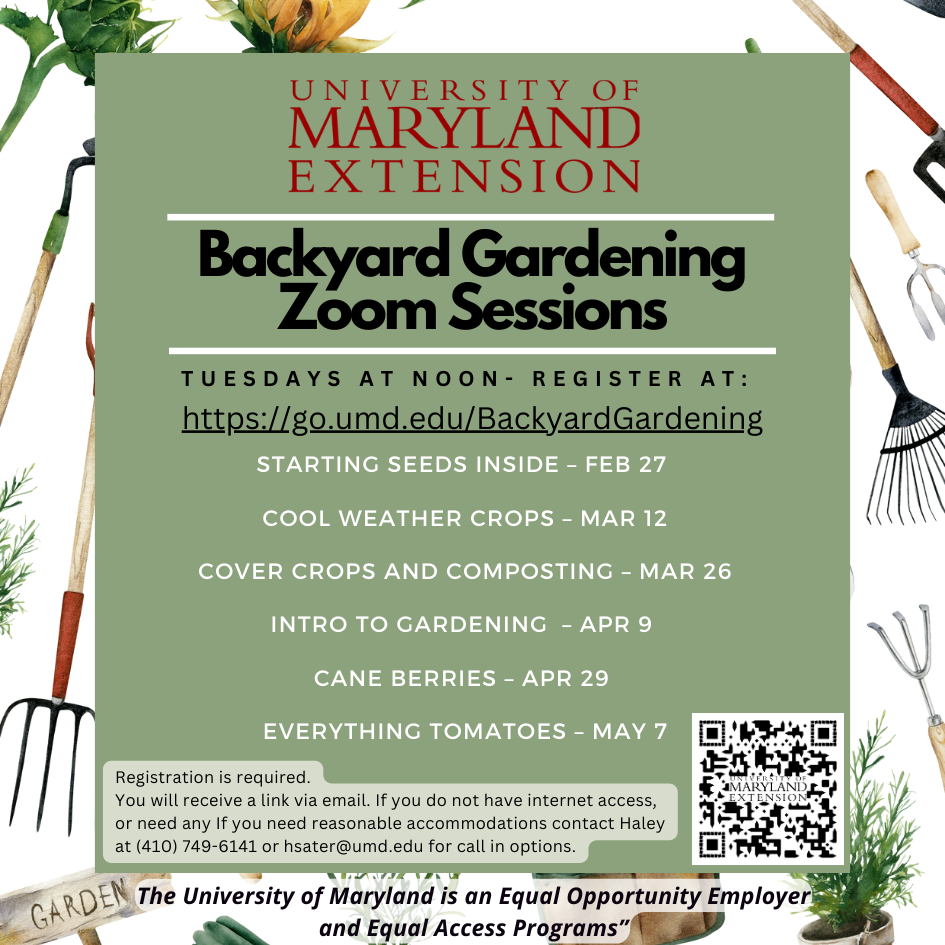 This flyer shows the dates and time of each of the webinars in the series