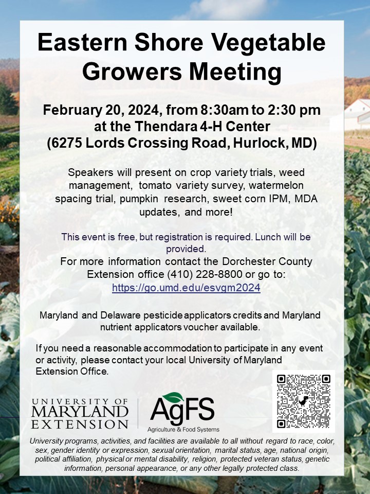 Flyer for the meeting