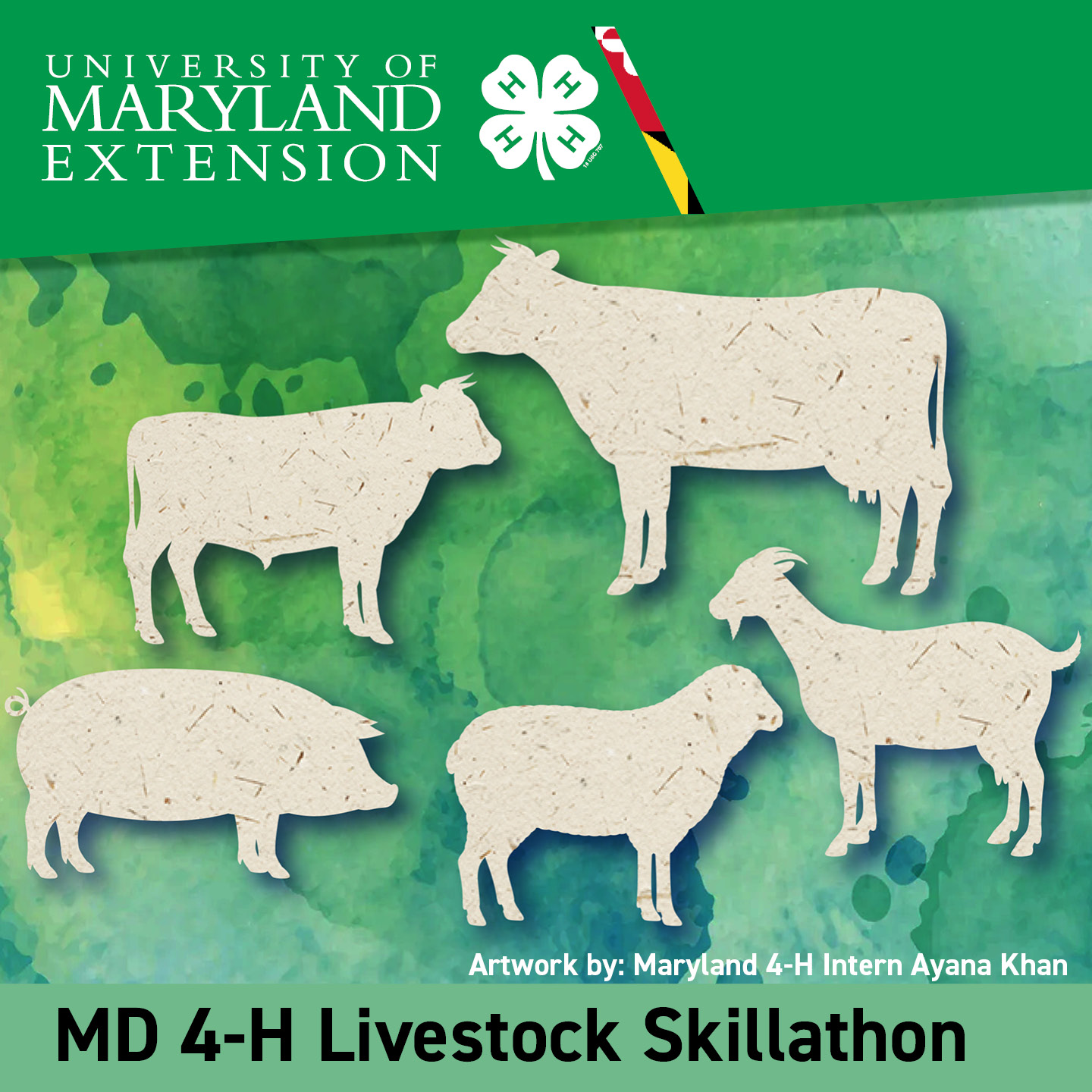 Student artwork showing a steer, pig, sheep, goat and cow