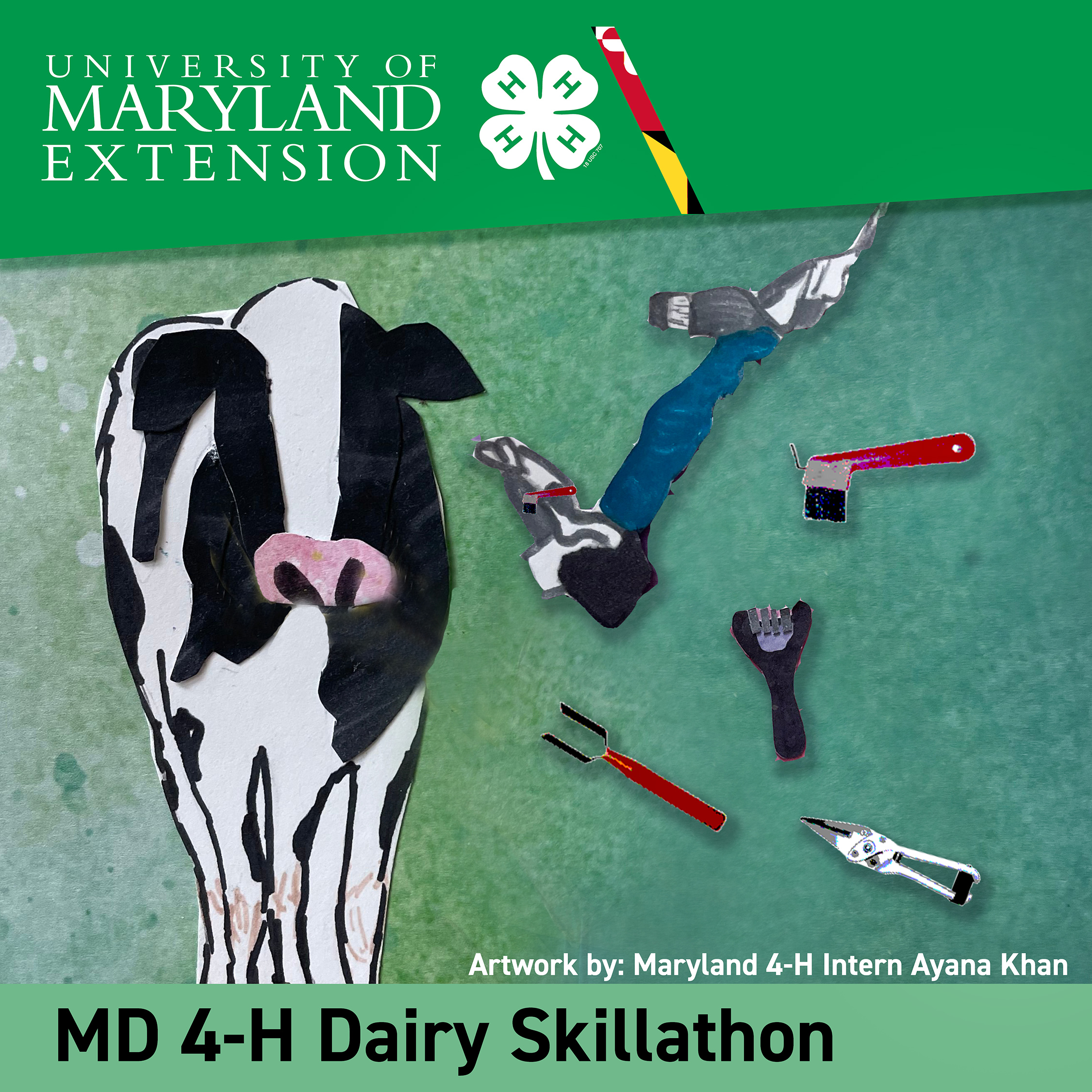 Student drawing of a cow and equipment for the dairy project