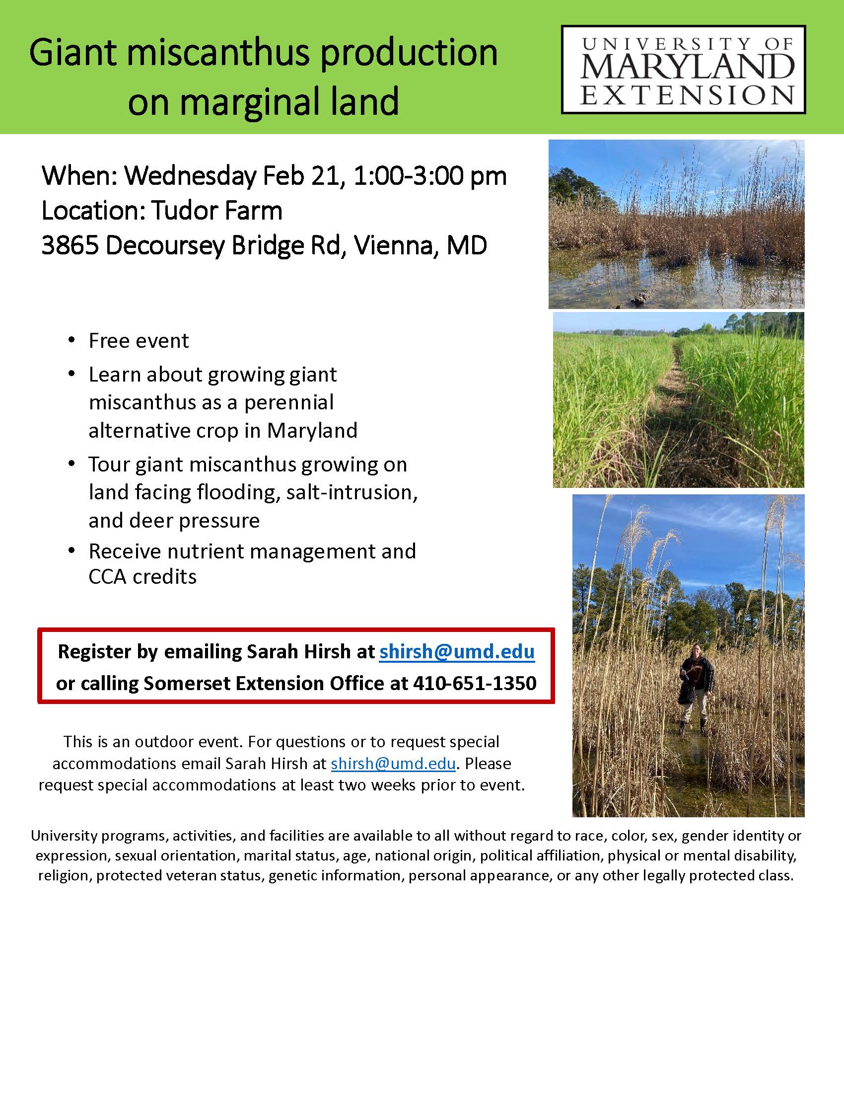 Flyer about giant miscanthus production on marginal land