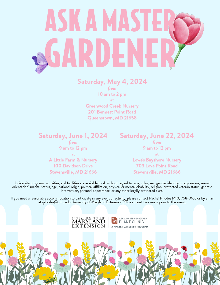 This flier shows the event location and times. 