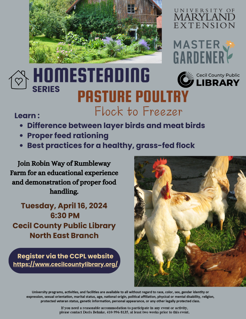 Homesteading Series