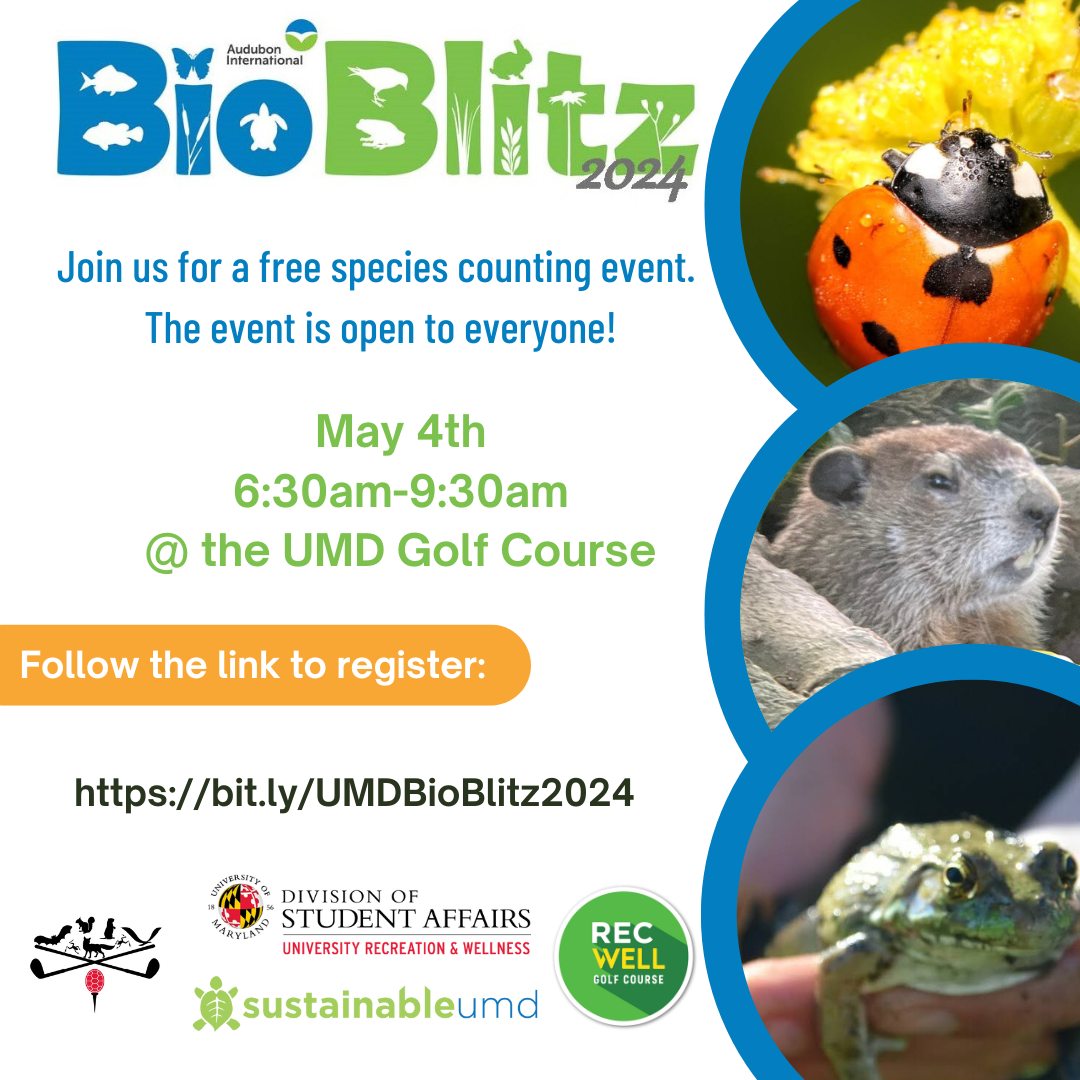 Bio Blitz Flyer