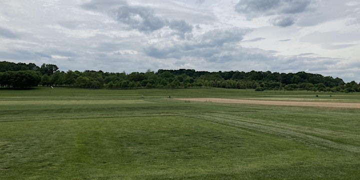 Picture of a green field