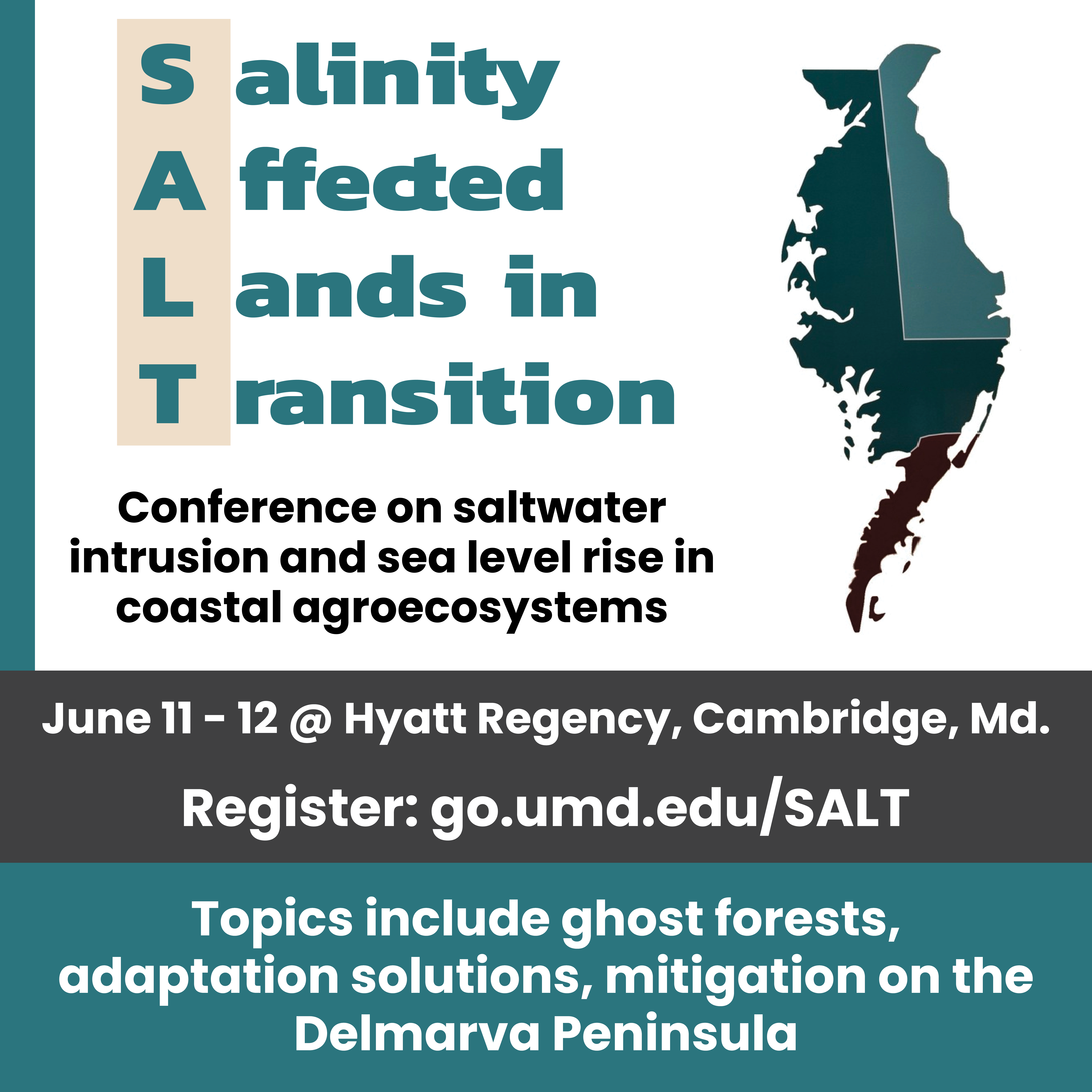 Image about the SALT conference