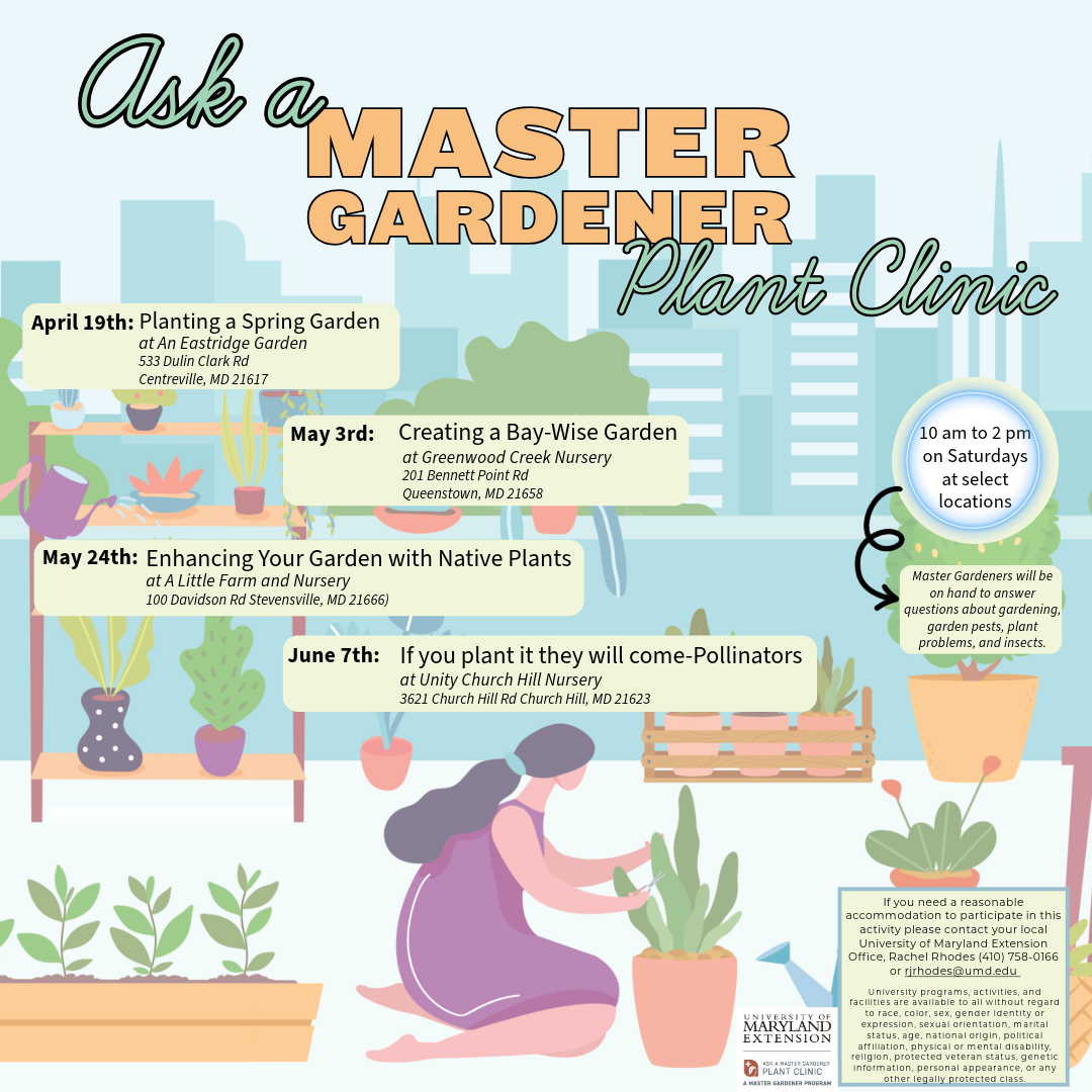 Flier detailing the date of the event, event parameters, accommodation statement, and the University accessibility statement.  