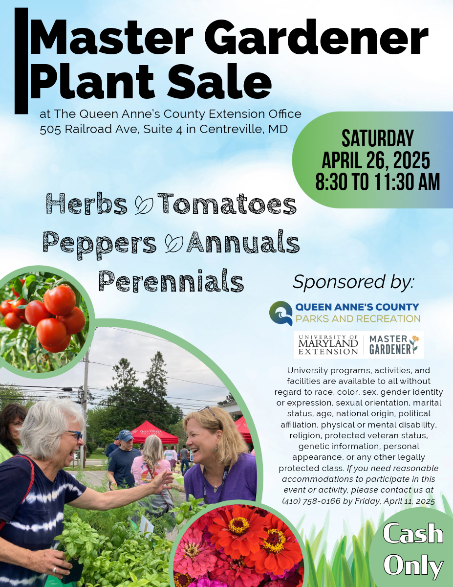 Flier detailing the date of the event, event parameters, accommodation statement, and the University accessibility statement.  