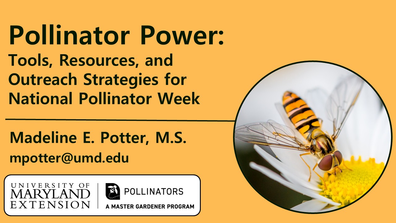 An image showing the event title, "Pollinator Power: Tools, Resources, and Outreach Strategies for National Pollinator Week" and an image of a syrphid fly nectaring on a white and yellow flower.