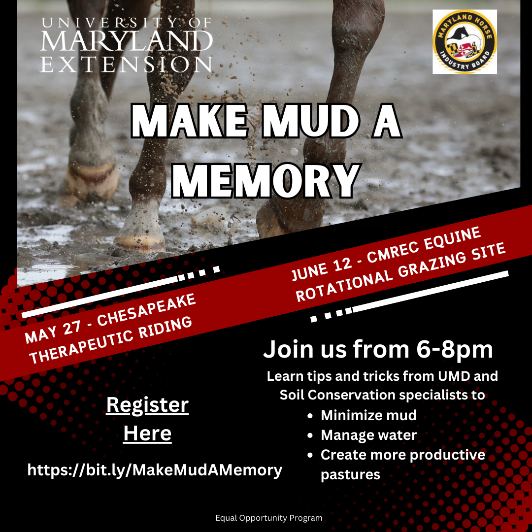 Image shows a horse runing in mud and includes details on event date, time, and location