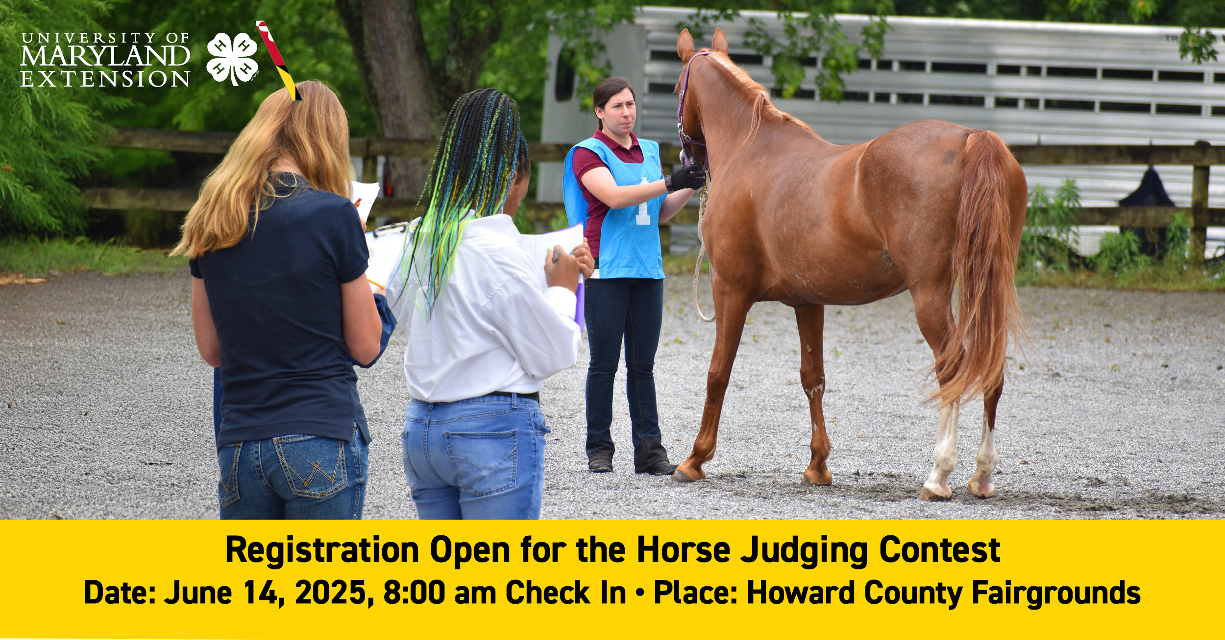 Two youth judging a horse who is standing with a woman holding the reins.
