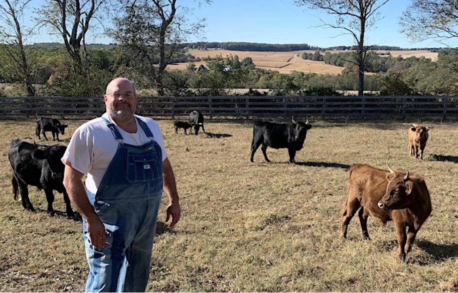 Keith Ohlinger standing in pasture with dexter cattle.