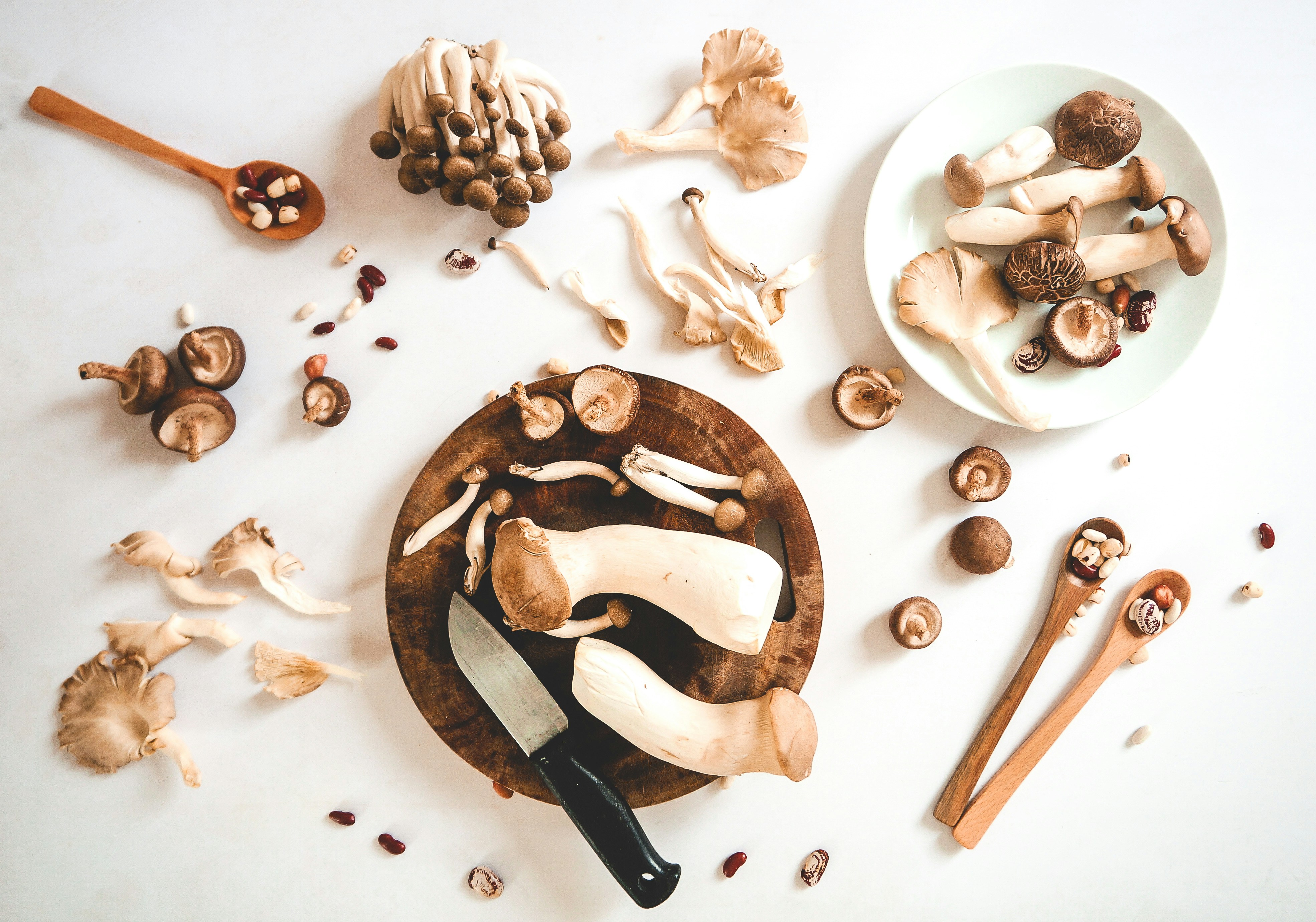 Mushrooms and utensils