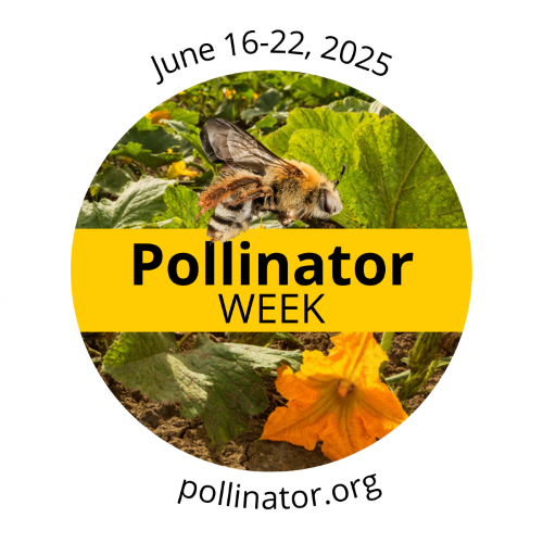 Pollinator Week graphic