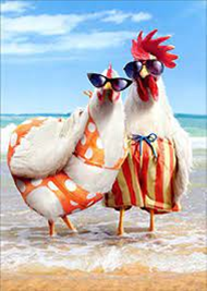Two chickens in bathings suits
