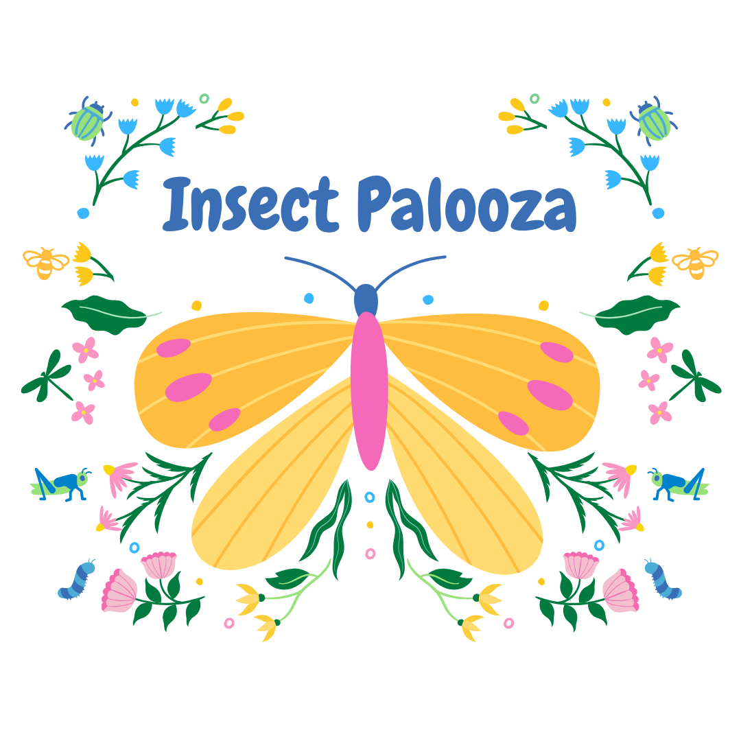 The words "Insect Palooza" with a graphic of a butterfly surrounded by graphics of plants and other insects.
