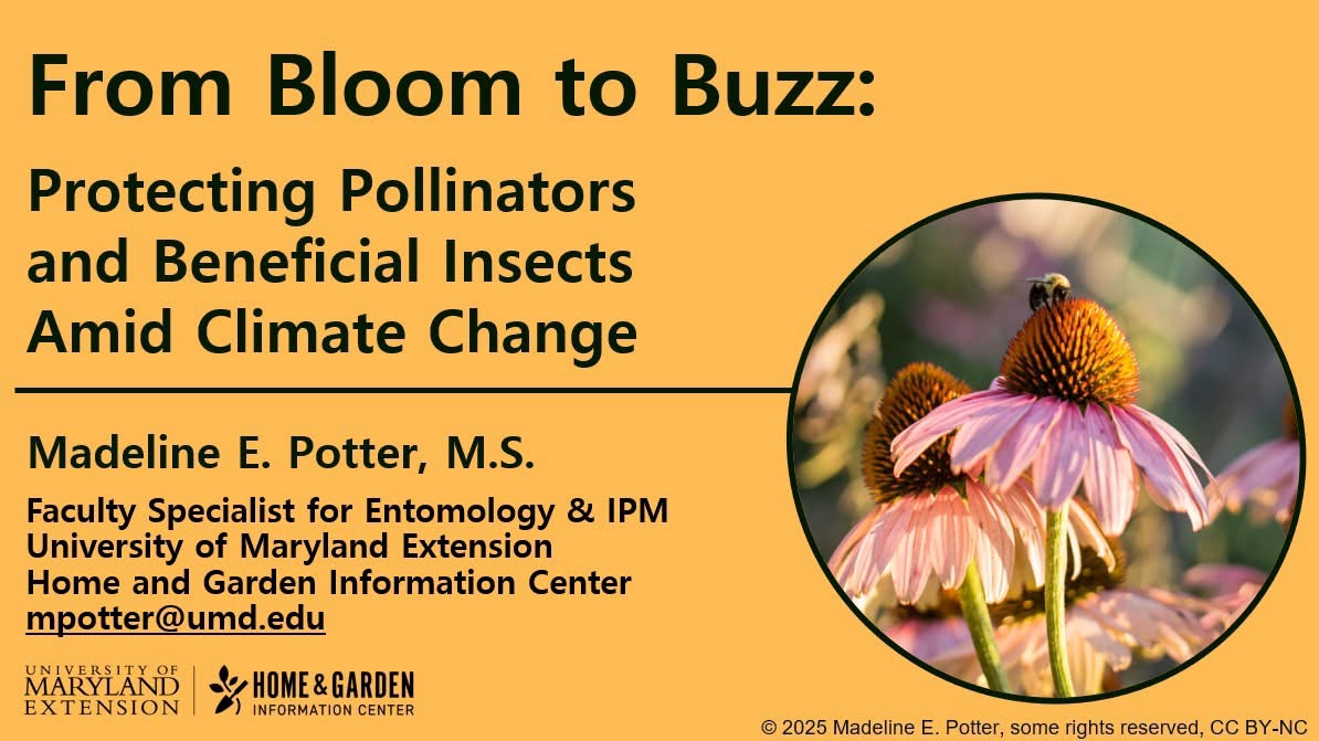 From Bloom to Buzz: Protecting Pollinators and Beneficial Insects Amid Climate Change
