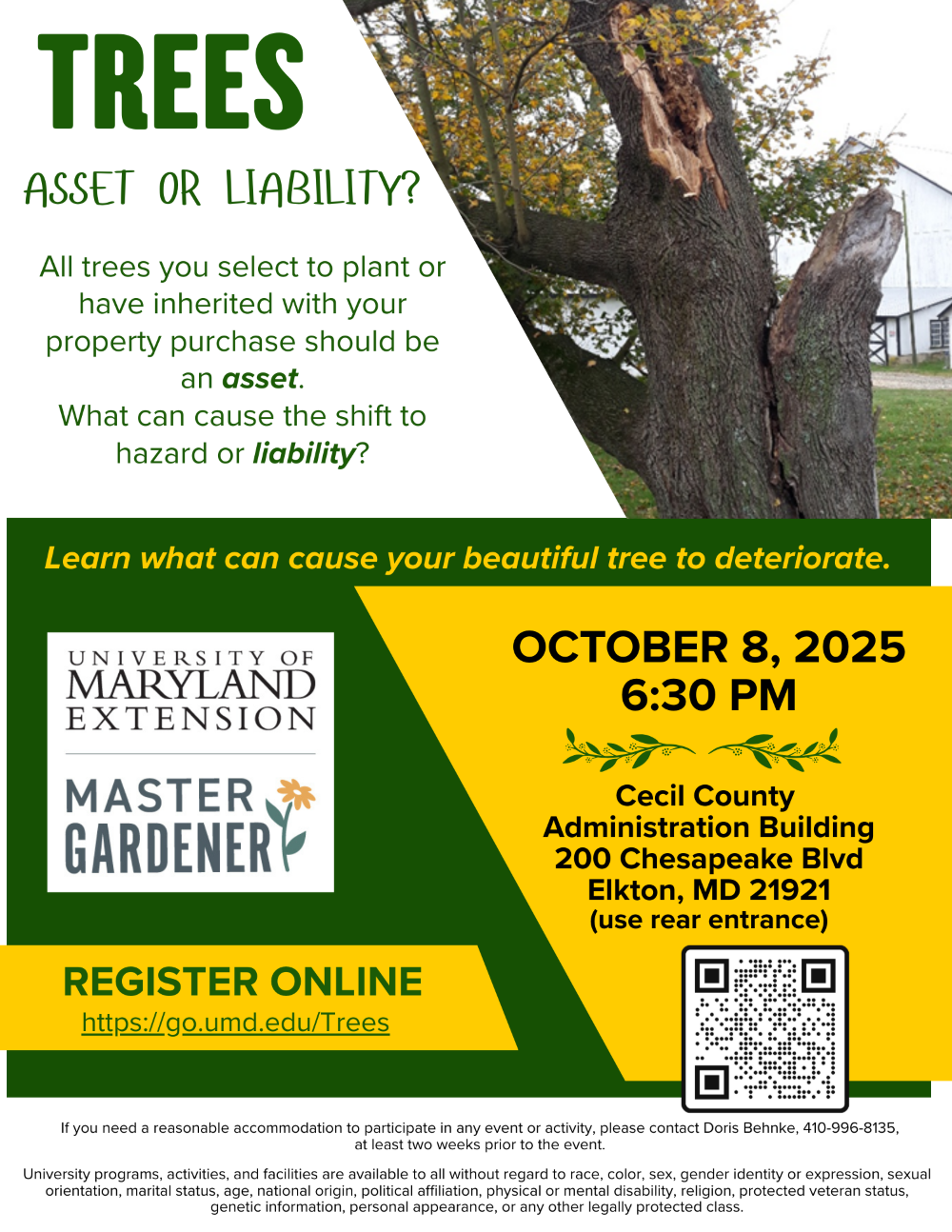 Trees - Asset or Liability? Flyer