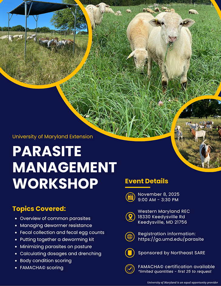 Flyer for 'Parasite Management Workshop' by University of Maryland Extension. Includes sheep images and workshop details. Event on November 8, 2025, at Western Maryland REC, topics like parasite control and FAMACHA© scoring. Registration link provided.