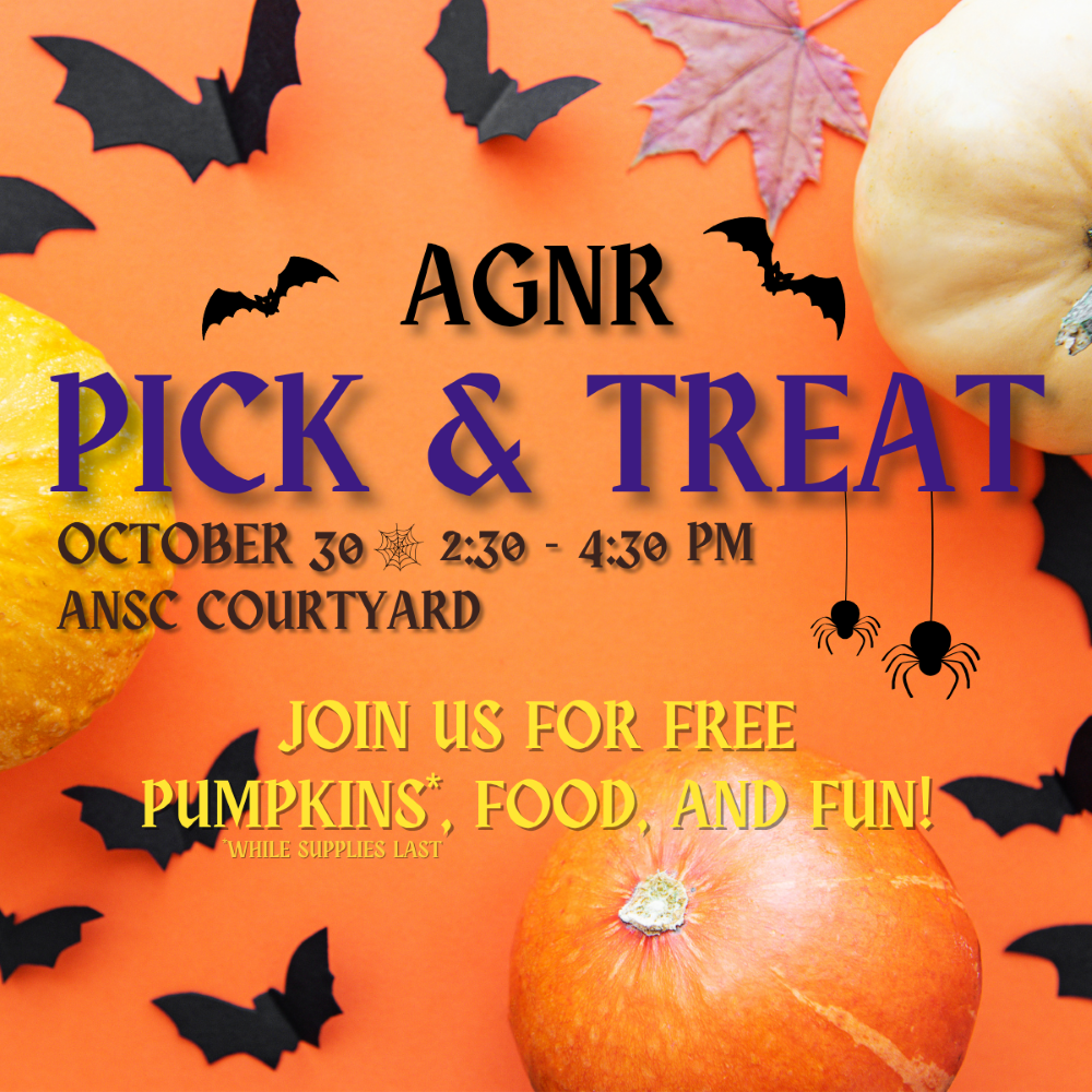 Pick & Treat graphic