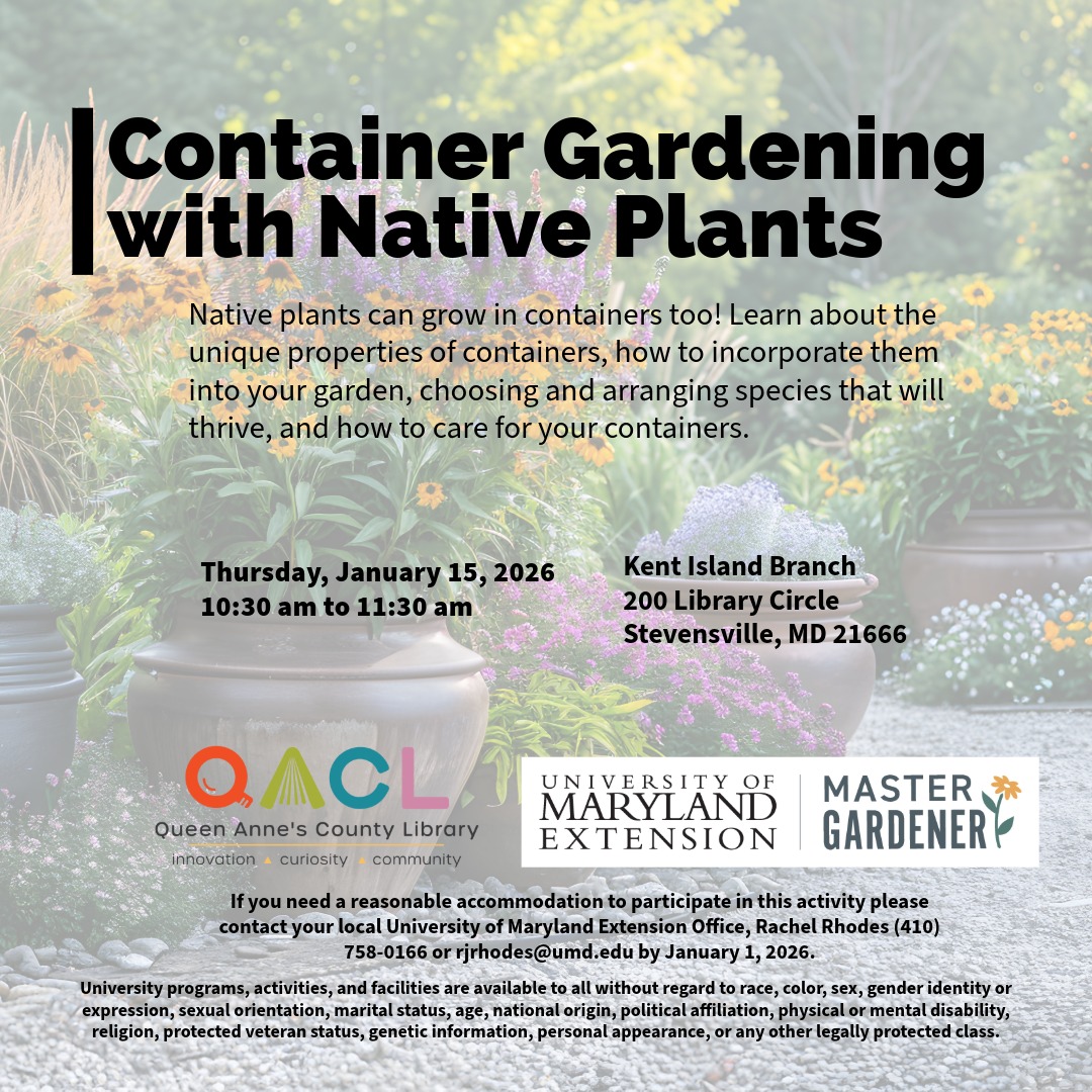 Flier detailing the date of the event, event parameters, accommodation statement, and the University accessibility statement.  