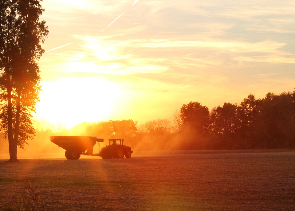 Tractor and grain cart in a field at sunset