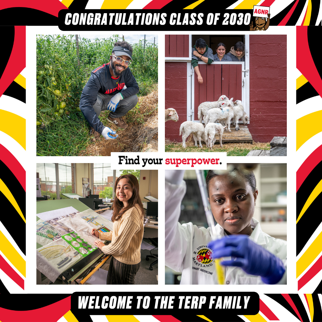 Class of 2030 congratulations graphic