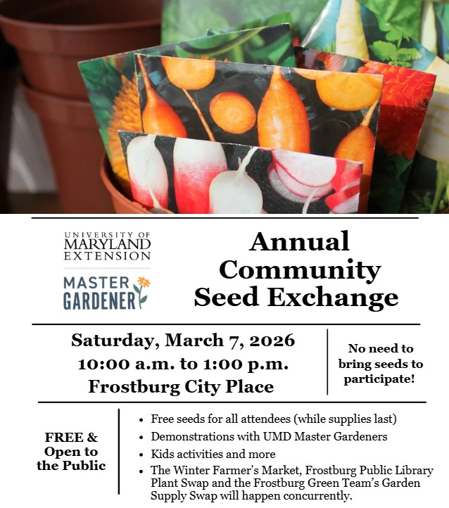 Image of seed packets and Annual Community Seed Exchange Details
