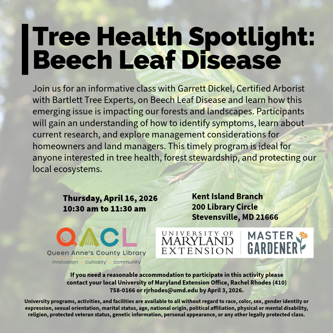 Flier detailing the date of the event, event parameters, accommodation statement, and the University accessibility statement.  