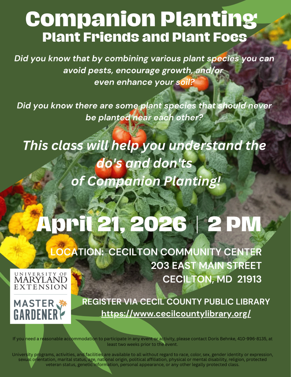 Companion Planting Flyer