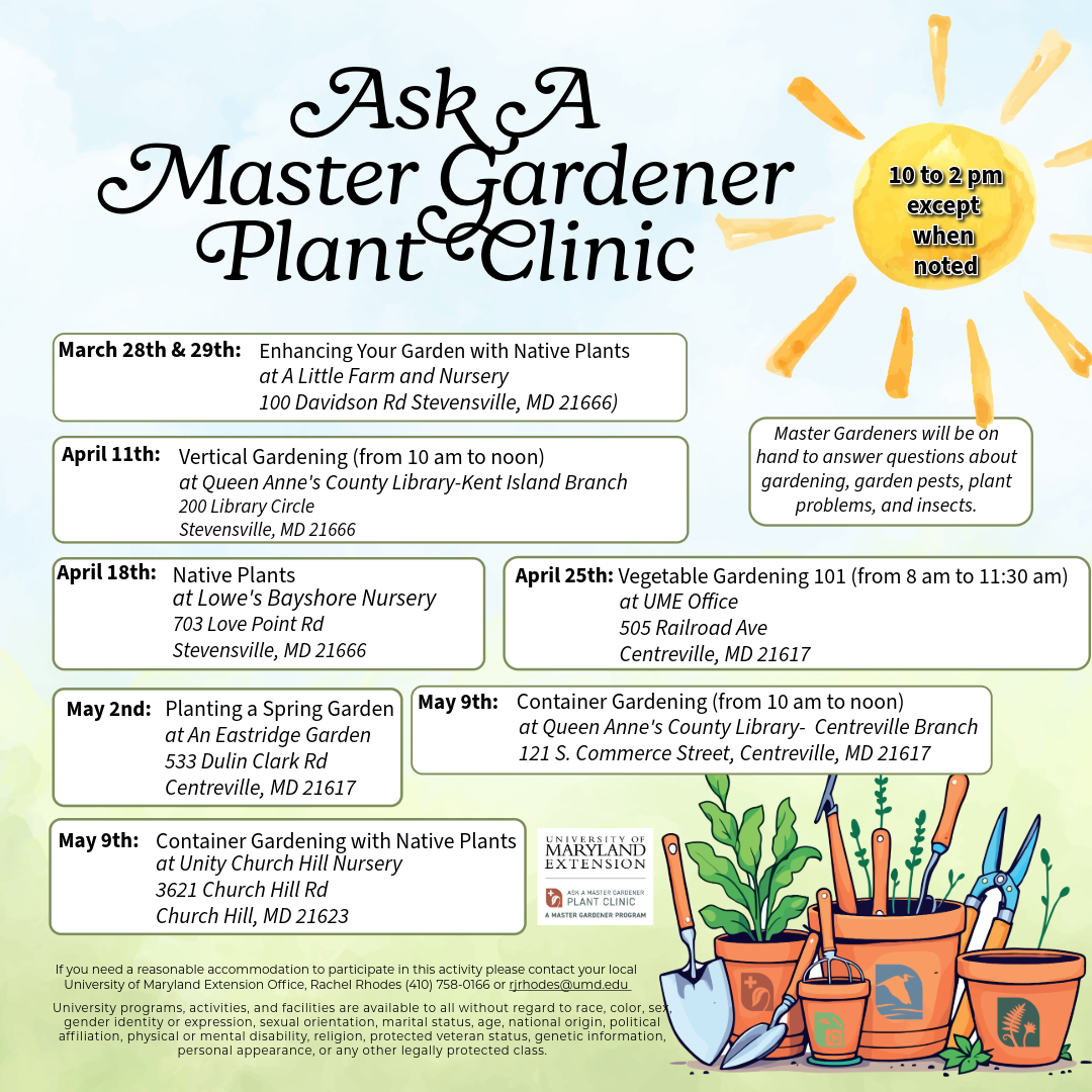 Flyer detailing the date of the event, event parameters, accommodation statement, and the University accessibility statement.  
