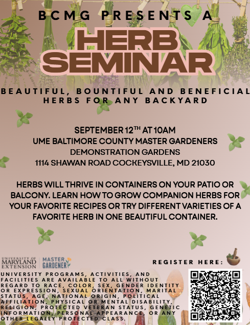 Flyer for event with date, time and description.