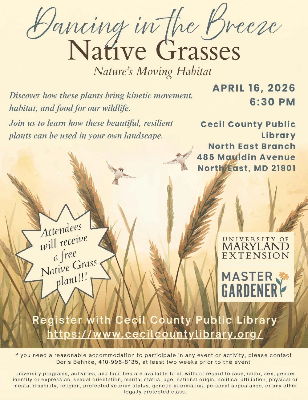 Native Grasses Flyer