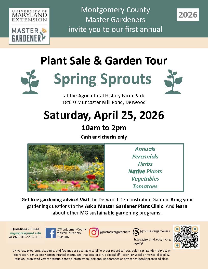 Plant Sale Flyer (non essential information)