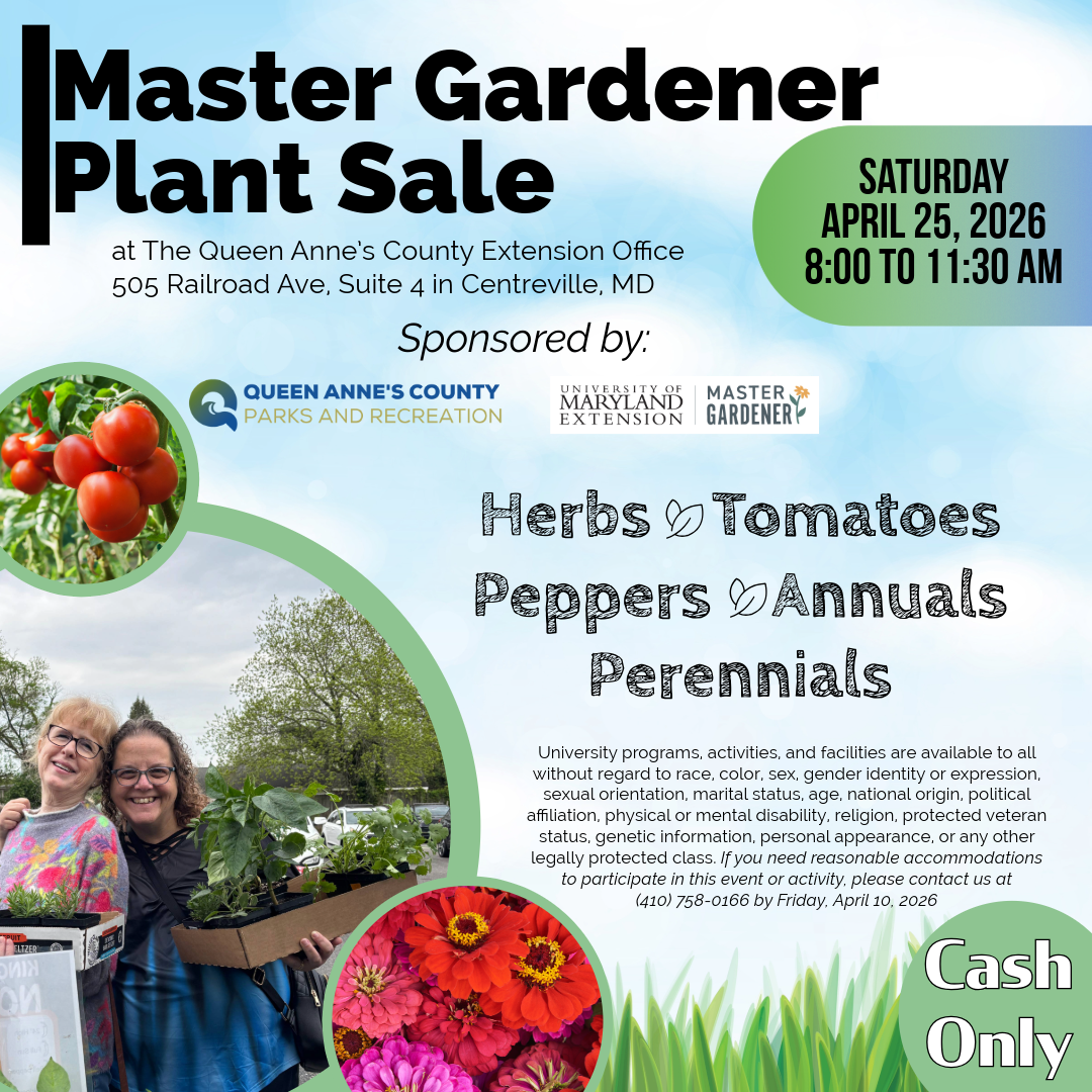 Flier detailing the date of the event, event parameters, accommodation statement, and the University accessibility statement.  