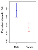 Belts Evo-Eco Fig 4 image