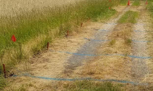 Belts. G. Dively DDI Fig 2 Layout