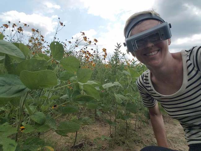 Belts. K. Evans hand pollinating image