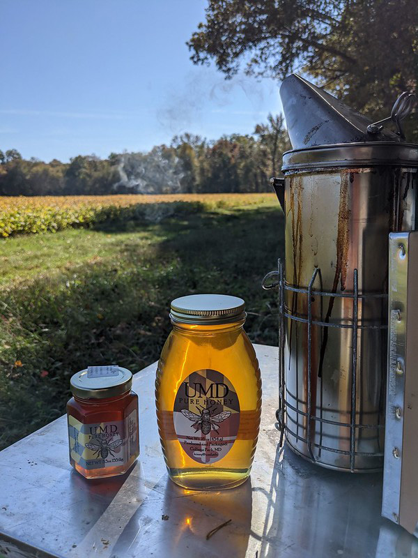 Honey and bee smoker
