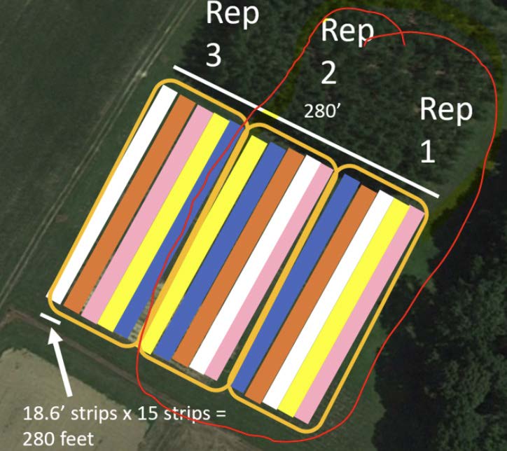 LESREC Fig 1 Randomized 