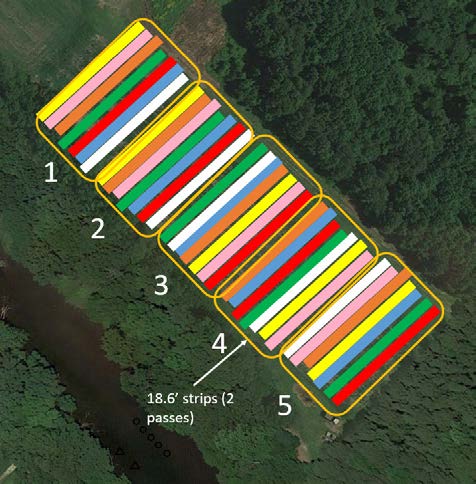 LESREC Fig 2 Randomized right