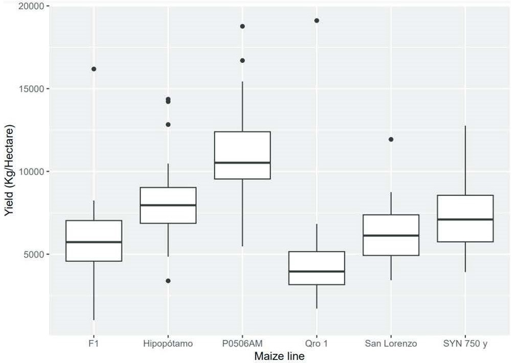 Beltsville Maize Fig 2