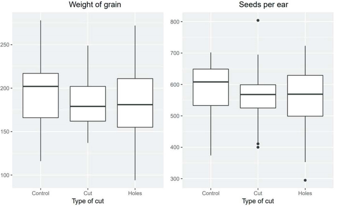 Beltsville Maize Fig 4
