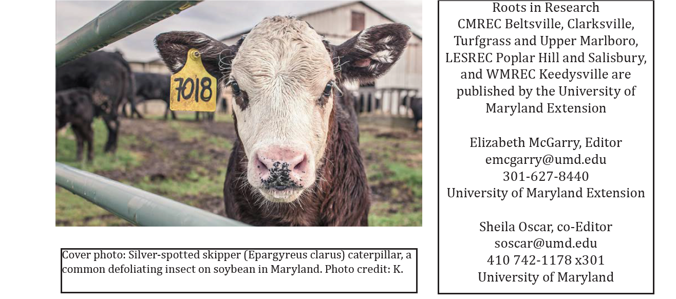 newsletter credits pic