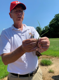 TG Mark Carroll image