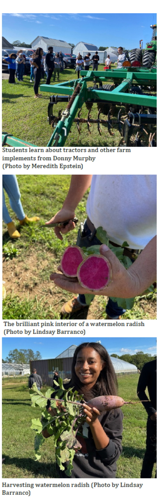 Terp Farm pictures L. Barranco