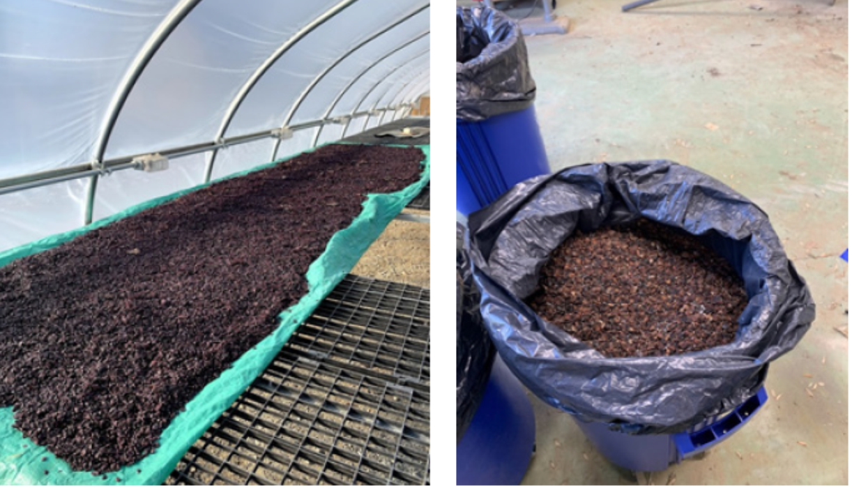 Fig 1 Wet grape pomace