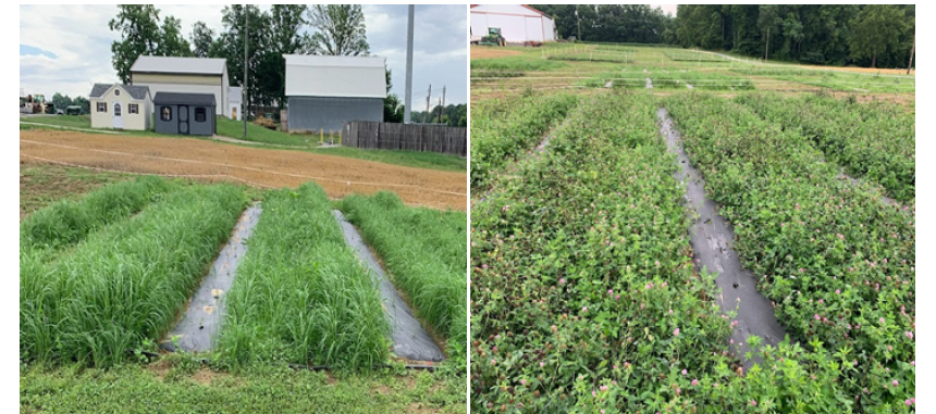 UMF 2023 D. Joseph Pic 1