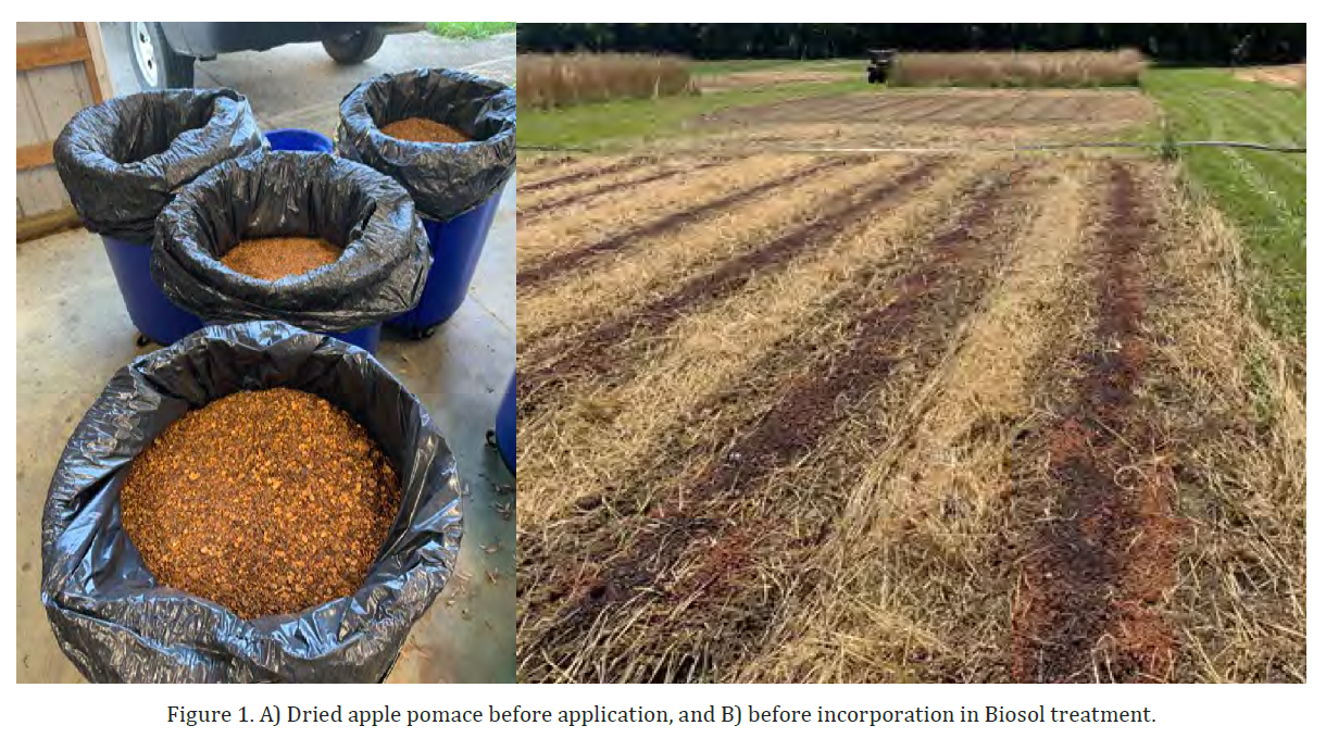 UMF Cover Cropping Fig 1A B