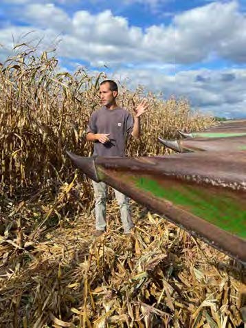 The Magical Lessons of Sweet Potatoes